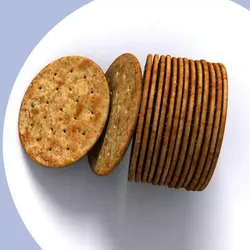 Salty cracker biscuit 3D model