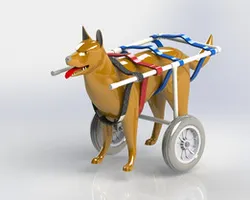 Silla de ruedas para perro (Wheelchair for dogs)