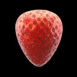 Strawberry close up of 3D model