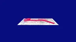 私の 印象的 3D資産