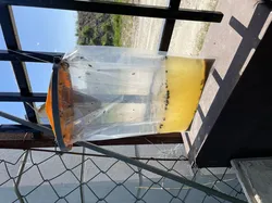 BIG fly trap