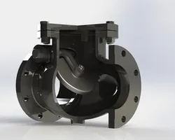 Check Valve