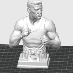 "Fighter's Spirit" - Martial Arts/Kickboxer Bust