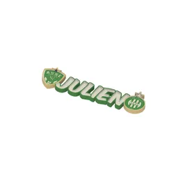 First name LED TO ASSEMBLE Julien logo St Etienne