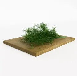 Fresh Dill On Chopping Block 3D model