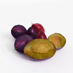 Fresh Purple Plums 3D model