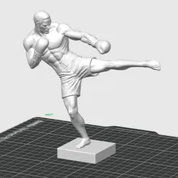 KICKBOX