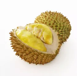 Leeche Nut Berry 3D model