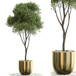 Plants collection 674
