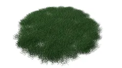 Realistic Lawn Grass Patch