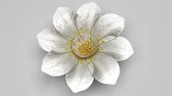 Vanilla Flower