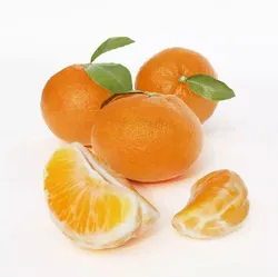 Whole Oranges And Slices 3D model