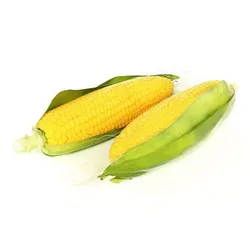 Yellow Corn In The Husk 3D model