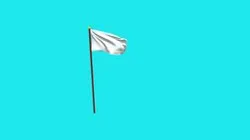 654230003_Cloth_Sim_Japan_Flag