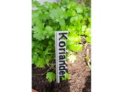 Customizable Garden Plant Label Sign (Remix)