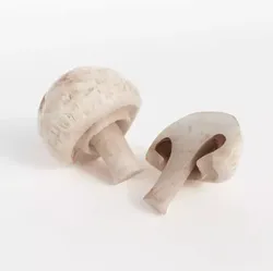 Fresh Bud Mushroom 3D model