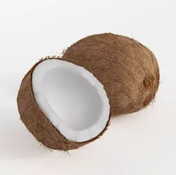 One Whole Coconut And One Half Of A Coconut 3D model