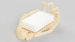 Skeleton hand [Soap Dish]
