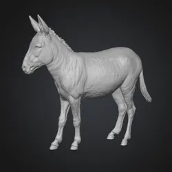 Cute Realistic Donkey