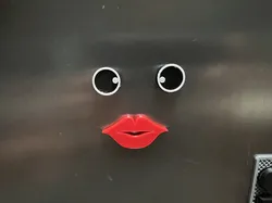 funny face magnets