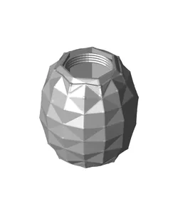 Pineapple Container