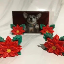 Poinsettia photo support (Noche buena)
