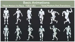 Basic Animations