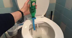 Better Than Toilet Paper in a Pandemic - a Bidet