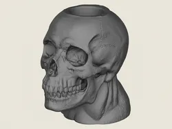 Human Skull Pot Vase 3D Print Model in Decor 621474