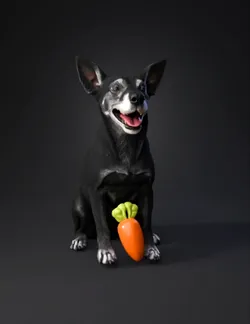 black dog sitting with a carrot toy friendly expression realistic fu