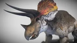 Triceratops horridus