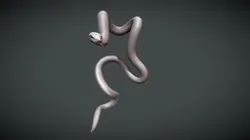 Diamantis - Snake