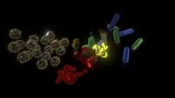 Microorganisms
