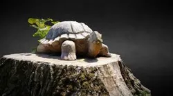 Scultura Tartaruga