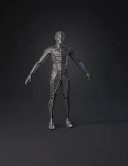 wireframe human figure model with polygonal mesh
