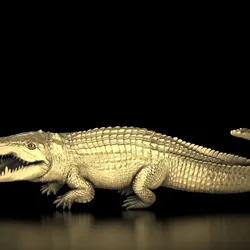 crocodile