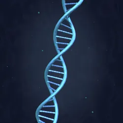DNA Strand -- Molecule -- Helix -- Sequencing RNA Genetics