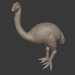 Great Moa – Extinct Giant Bird 3D Printable Model