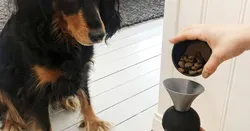 Kong dog food funnel