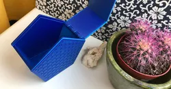 Pentagon box with hinged lid