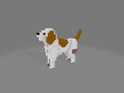 Perro
