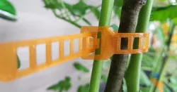 Plant support strap for PLA