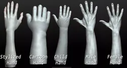 Rigged Highpoly Male Female Hand zbrush