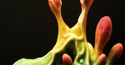 Tabletop plant: "Blob Crowd Plant 2" (Alien Vegetation 17)