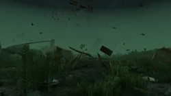 Underwater