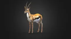 Gazelle - Rigged