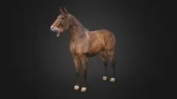 Horse - Rigged
