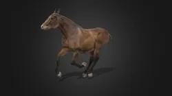 Horse Run Animation