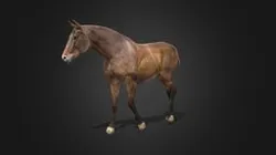 Horse Walk Animation