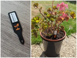 Garden Plant Label V1